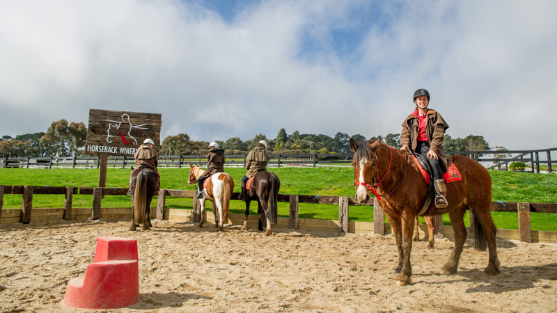 Join us for an unforgettable 2 hour excursion as we explore the stunning sights of Mornington Peninsula and enjoy some of the region’s finest wines.